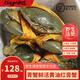 青蟹鮮活紅膏蟹野生特大號紅鱘膏蟹肉蟹滿膏滿肉本地蟹順豐一整箱 青蟹鮮活老漢甄選滿膏蟹 野生黃油膏蟹2只裝【每只7兩到8兩】