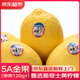 優(yōu)味集【JD順豐】進(jìn)口黃檸檬香水甜檸檬新鮮當季鮮果一級進(jìn)口桔生鮮包郵 500g凈重裝（進(jìn)口優(yōu)果） 【A+級】商超品質(zhì)果100-130g