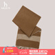 哈吉斯（HAZZYS）配飾 冬款【羊絨/羊毛】條紋圍巾男AAOZ1MBD021 鐵銹色RS 180cm*34cm