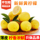甜果源 新鮮黃檸檬 海南香水檸檬奶茶店用皮薄無(wú)籽檸檬新鮮水果 5斤【家庭裝】檸香濃郁