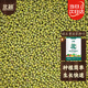 北蔬 綠豆種子芽苗菜豆子種水培土盆栽蔬菜種籽 綠豆芽苗菜種子500g
