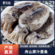 鮮優(yōu)虹舟山原汁墨魚(yú)仔新鮮活冷凍生鮮目魚(yú)烏賊章魚(yú)海兔墨斗魚(yú)蛋海鮮水產(chǎn) 4斤(凈重)  （經(jīng)濟又實(shí)惠） 原汁墨魚(yú)（2-3只/斤）