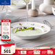 德國唯寶（Villeroy&Boch）小花園系列 進(jìn)口精細餐具瓷器 歐式餐盤(pán) 家用餐盤(pán)碗精細瓷器 深盤(pán) 23cm