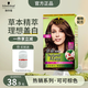 施華蔻怡然植物染發(fā)霜 草本染發(fā)劑染發(fā)膏 男女士 蓋白發(fā) 4.7/9可可棕色(氛圍感)