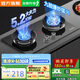 SUNPUNR蘇泊燃氣灶天然氣灶液化氣灶補貼20%熄火保護智能定時5.2kw猛火灶一級能效臺式嵌入式兩用雙灶灶具 【旗艦款】5.2KW猛火鴛鴦灶+防爆玻璃 天然氣