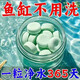 魚(yú)缸水質(zhì)凈化劑凈水片魚(yú)缸凈化水質(zhì)免換水高分子魚(yú)缸凈水片魚(yú)清潔 1瓶裝【魚(yú)缸除藻不傷魚(yú)】