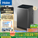 海爾（Haier）全自動(dòng)波輪洗衣機(jī)12公斤大容量家用【XQB120-Z10D0】家電國家補(bǔ)貼20% 除菌螨一級(jí)能效換新租房宿舍