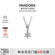 潘多拉（PANDORA）閃耀花朵標本項鏈套裝925銀女輕奢小眾生日禮物送女友教師節禮物
