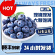 秘魯藍莓進口【順豐多地次日達-送貨上門】可整箱批發(fā)斤新鮮L25 2盒【嘗鮮】100-125g/盒 AAA藍莓王【單果22mm+】蕞脆蕞甜