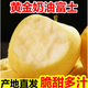山東奶油富士頭茬現摘脆甜多汁牛奶蘋(píng)果整箱孕婦水果 單果75-80mm 5斤(凈重4.5斤)