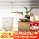 萬(wàn)仟堂（Edenus） 高檔流水擺件 陶瓷循環(huán)水辦公臥室落地小擺件 喬遷生意擺件竹語(yǔ)A
