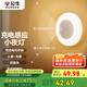 公牛（BULL）充電感應(yīng)小夜燈走廊衛(wèi)生間GNY-T2N0人感光感自動(dòng)亮燈熄滅500毫安