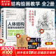 人體結構原理與繪畫(huà)教學(xué) 肖瑋春 人物結構造型繪畫(huà)零基礎入門(mén) 贈人體動(dòng)態(tài)海報+視頻 人體結構繪畫(huà)教學(xué)2冊（原理與繪畫(huà)教學(xué)+造型手繪技法