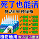 艾尚棵植物再生劑濃縮營(yíng)養液復活液水培花肥料室內盆栽植物營(yíng)養液通用型 3盒【枯花復活 起死回生】