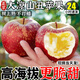 四川大涼山鹽源丑蘋(píng)果冰糖心新鮮水果當季整箱蘋(píng)果包郵平果紅富士 2斤裝【迷你果60mm以下】
