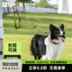 出眾者狗狗牽引繩加長(cháng)狗繩中大型犬狗鏈子可調節遛狗繩金毛德牧牽狗繩 狼棕色COB