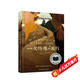 長(cháng)青藤?lài)H大獎小說(shuō)一次特殊的旅行（美國國家圖書(shū)獎）勇氣、打破歧視和偏見(jiàn)等主題三四五六年級課外閱讀必讀小學(xué)生課外書(shū)