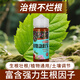 八個(gè)老頭急救寶植物營養(yǎng)液生根壯苗肥料水溶性強(qiáng)生根養(yǎng)根提高根系吸收能力 植物急救寶140ml/瓶*1