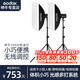 神牛（Godox） 200W/250W攝影燈影室專業(yè)閃光燈中小型影棚電商拍攝燈套裝證件照美食影棚燈 【套裝1】200W閃光燈【兩燈套裝】