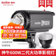 神牛DP600II 400II 1000II閃光燈影室攝影燈人像靜物電商產(chǎn)品拍照補光影棚燈 DP600II標(biāo)配【單燈頭/閃光燈】