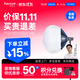 愛(ài)圖仕（Aputure）艾蒙拉 200x S 200d S系列直播  補光燈 攝影  美顏 視頻綠幕影棚200w人像室內外深拋柔光箱 200d S 柔光燈籠套裝