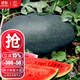 大禹懶漢西瓜種子苗特大適合南方早熟懶人8424麒麟瓜美都無(wú)籽水果蔬菜 大果黑美人西瓜種子20粒2袋黑皮