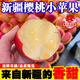 【特級果】正宗新疆阿克蘇櫻桃小蘋(píng)果當季新鮮紅富士水果整箱包郵 3斤
