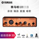 雅馬哈（YAMAHA） UR12聲卡錄音設備有聲書(shū)配音編曲電腦后期吉他彈唱錄制音頻套裝 雅馬哈UR12B標配