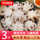 滋百尚去齒去內(nèi)臟冷凍新鮮八爪魚 迷你小章魚海鮮 軟足類燒烤食材 八爪魚 500g(凈重)  *3