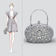 JANEREGINA簡(jiǎn)瑞吉娜輕奢禮服搭配晚宴手提包高端款銀色鑲鉆小包包女新款名媛風(fēng)手拿包 銀色 硬手提+長(cháng)鏈