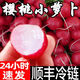 農(nóng)大姐妹【順豐速運(yùn)】櫻桃蘿卜  甜蘿卜 濰坊迷你蘿卜新鮮小紅丁水果蘿卜 1斤