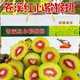 蜀農紀四川蒼溪紅心獼猴桃紅心獼猴桃禮盒奇異果新鮮水果中秋送禮獼猴桃 20枚果王135g以上凈重6斤