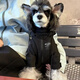 寵物沖鋒衣小型狗狗秋冬棉服潮牌泰迪比熊雪納瑞法斗衣服 黑色 XL背39建議11-14斤左右