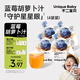 不二寶貝藍(lán)莓葉黃素酯藍(lán)莓汁蘋(píng)果汁105ml*4搭寶寶嬰兒幼兒童健康夏天飲料
