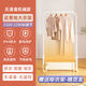 先鋒語音晾衣架取暖器浴室家用烘衣服干衣機(jī)烘干機(jī)踢腳線電暖器氣正品 DTJ-T18+烘衣架 無語音機(jī)械款