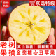 閩域尋鮮冰糖心丑蘋(píng)果【多地次日達】高山種植蘋(píng)果中秋水果生鮮丑蘋(píng)果 9斤向陽(yáng)優(yōu)果 單果85-90mm（凈重8.5斤） 糖心蘋(píng)果愛(ài)好者首選
