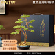 RWTW新中式迎客松擺件客廳玄關(guān)辦公室擺件裝飾品喬遷新居送開(kāi)業(yè)禮物 盆景迎客松高39CM-禮盒
