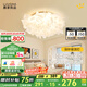 鹿家良品（LUUGAA）羽葉臥室吸頂燈客廳燈奶油風(fēng)羽毛燈主臥臥室燈全光譜護(hù)眼中山燈具 護(hù)眼53cm三色光42W吸頂