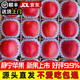靜寧蘋(píng)果【送貨上門(mén)】甘肅紅富士蘋(píng)果水果新鮮時(shí)令應季現摘整箱孕婦水果 【嘗鮮裝】?jì)糁?00g 優(yōu)質(zhì)中果