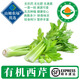 【有機】西芹 可榨汁芹菜 有機葉菜類(lèi)蔬菜新鮮生食沙拉食材炒菜 1kg【有機西芹嘗鮮體驗裝】