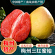 桃西村梅州三紅蜜柚【順豐速發(fā)】紅心蜜柚紅肉柚新鮮水果禮盒中秋團購 凈重50斤 三紅柚【13-19個(gè)裝】麻袋
