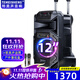 TEMEISHENG 特美聲SL12-31廣場(chǎng)舞音響戶(hù)外低音炮大音量家用k歌唱歌便攜式藍牙移動(dòng)戶(hù)外音響大功率藍牙音箱 12寸標配+2支無(wú)線(xiàn)話(huà)筒+大禮包