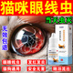 貓咪眼線蟲滴眼液眼睛發(fā)炎流淚紅腫流膿寵物專用消炎眼藥水去淚痕 10ml 【貓咪眼線蟲專用】