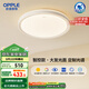 歐普（OPPLE）吸頂燈智控調光LED照明燈具全光譜智慧光圓臥包安裝 品見4白