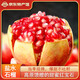云南軟籽紅石榴新鮮水果鮮甜多汁顆粒飽滿(mǎn)中秋節送禮佳品 吉祥三寶優(yōu)選2斤單果200g+*3個(gè)