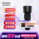 適馬（SIGMA） 60-600mm F4.5-6.3 DG DN 長焦變焦微單反相機鏡頭 索尼E卡口 官方標配【下單即送豪禮】