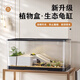 闊庭（KUOTING）烏龜缸桌面透明生態(tài)烏龜缸烏客廳水族箱黑色