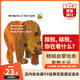 棕熊你在看什么 英文原版 Brown Bear, What Do You See 卡爾韻律歌謠 搭好餓的毛毛蟲(chóng) 我是小兔 弘書(shū)閣英語(yǔ)文庫十大啟蒙繪本之一