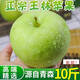 正宗王林蘋(píng)果9斤雀斑脆甜青蘋(píng)果明月青森當季新鮮水果瑞雪整箱L5 3斤大果【單果80-85mm】7個(gè)左右