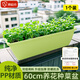 原起點(diǎn)花盆長(cháng)方形霍倫種植盆陽(yáng)臺種菜箱家庭大號多肉疏菜草莓種菜盆花箱